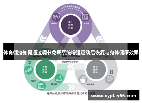 体育健身如何通过调节免疫系统增强运动后恢复与身体健康效果