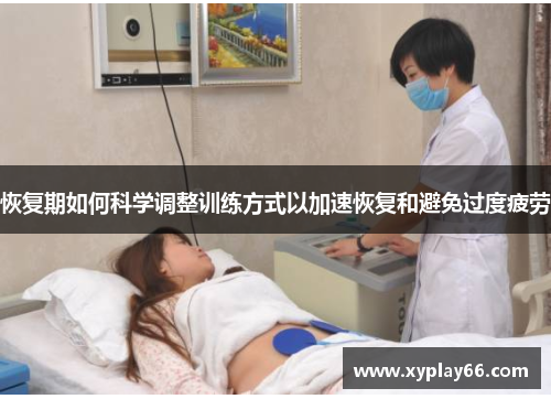 恢复期如何科学调整训练方式以加速恢复和避免过度疲劳